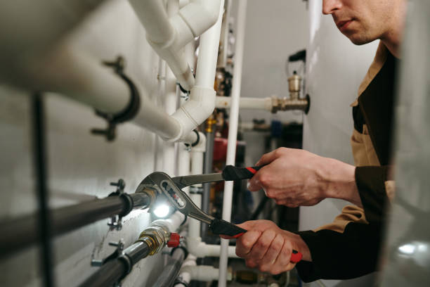 Best Plumbing Services Near Me  in Elko New Market, MN